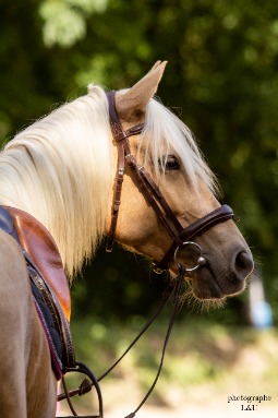 shooting handicapé heureux 